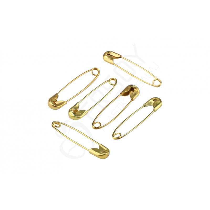 Sarı Çengelli İğne