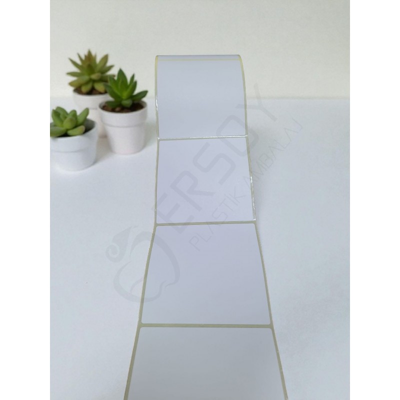 Termal Etiket 100 mm x 100 mm 5 Rulo
