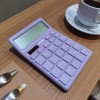 Daxi X-120 L Hesap Makinesi Lila