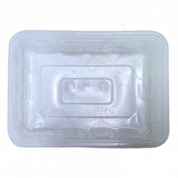 250 gr Şeffaf Plastik Kase 100 Adet