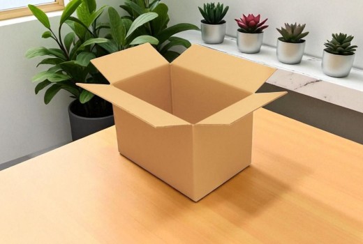 Koli Kullanım Alanları ve Çeşitleri